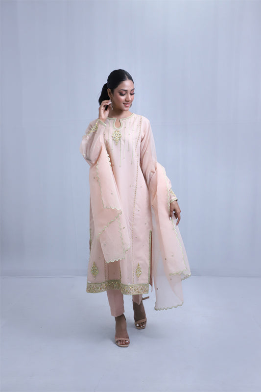 Light Pink Organza Suit - 3PC | Gul-e-Zeba