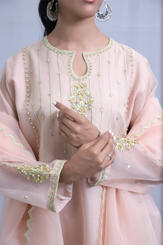 Light Pink Organza Suit - 3PC | Gul-e-Zeba