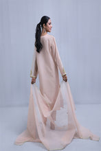 Light Pink Organza Suit - 3PC | Gul-e-Zeba